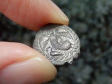 画像5: 古代ギリシャコイン　シチリア島　カマリナ　リトラ銀貨　前４６０－前４５０年　勝利の女神ニケと白鳥 (5)