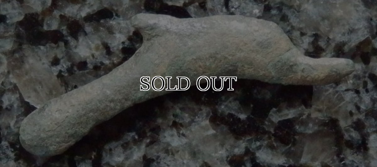 画像4: 古代ギリシャコイン　オルビア　イルカのコイン 前５－前４世紀 (4)