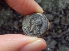 画像5: 古代ギリシャコイン　シチリア　カマリナ　銅貨　前5世紀　アテナ神　トカゲを捕えるフクロウ (5)