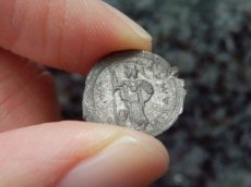 画像6: 古代ギリシャコイン　シチリア島　カマリナ　リトラ銀貨　前４６０－前４５０年　勝利の女神ニケと白鳥 (6)