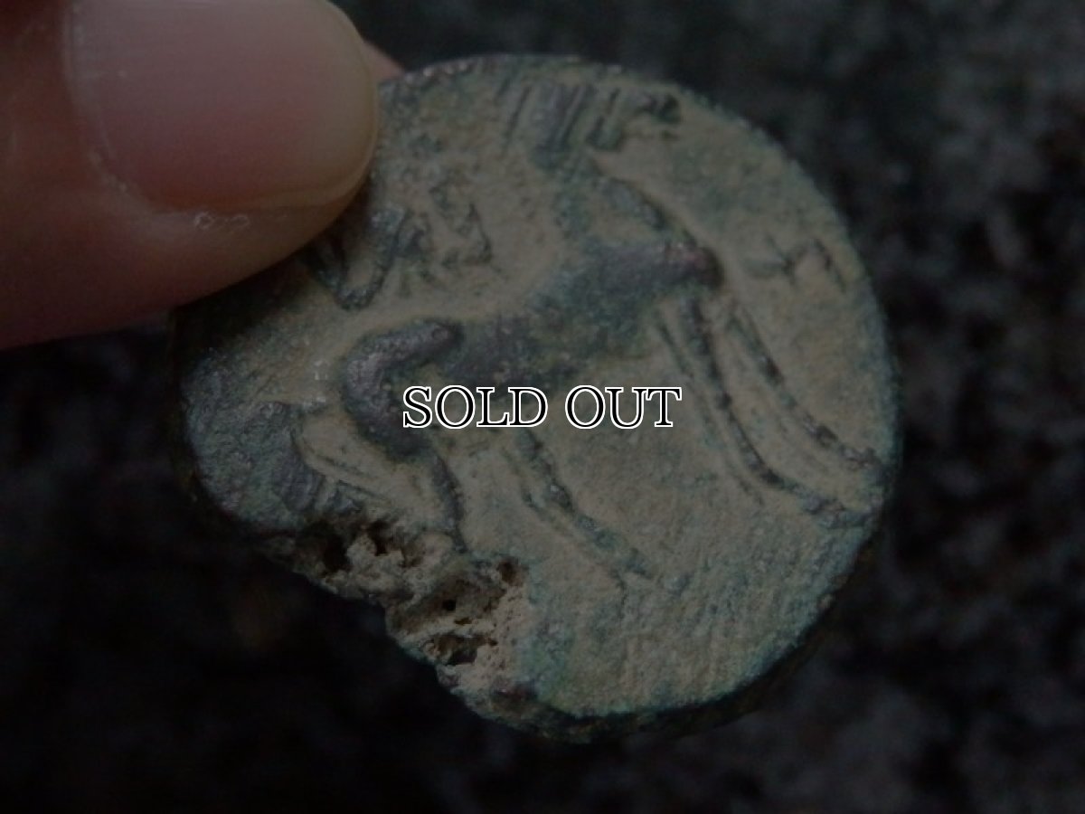 画像10: 古代ギリシャコイン(額装付き)　カルタゴ　銅貨　前２６４－前２４１年　カルタゴの守護女神タニト　馬とウラエウス (10)