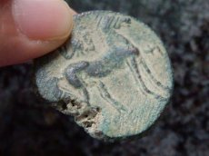 画像10: 古代ギリシャコイン(額装付き)　カルタゴ　銅貨　前２６４－前２４１年　カルタゴの守護女神タニト　馬とウラエウス (10)
