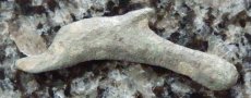 画像3: 古代ギリシャコイン　オルビア　イルカのコイン 前５－前４世紀 (3)