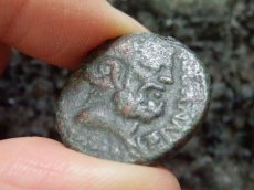 画像6: 古代ギリシャコイン　シチリア島　カタネ　銅貨　前２１２年以降　羊の角のゼウス・アモン　ディケー神 (6)