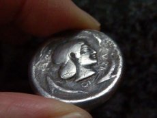 画像6: 古代ギリシャコイン(額装付き)　シチリア　シラクサ　テトラドラクマ銀貨　前5世紀  シチリアの伝説アレトゥーサ　二頭立て馬車とニケ (6)