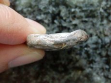 画像4: 古代ギリシャコイン　アッティカ地方　アテネ　テトラドラクマ銀貨　前450年頃発行　古代コインで最も有名な意匠　アテナ神と聖鳥フクロウのコイン (4)