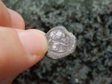 画像5: 古代ギリシャコイン(額装付き)　シチリア島　シラクサ　リトラ銀貨　前４７４－前４５０年　アレトゥーサの肖像　タコ (5)