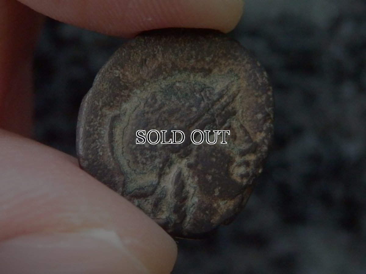 画像6: 古代ギリシャコイン(額装付き)   ミュシア地方　ペルガモン　銅貨  前１２３－前１００年　翼を広げたフクロウ (6)