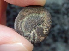 画像6: 古代ギリシャコイン(額装付き)   ミュシア地方　ペルガモン　銅貨  前１２３－前１００年　翼を広げたフクロウ (6)