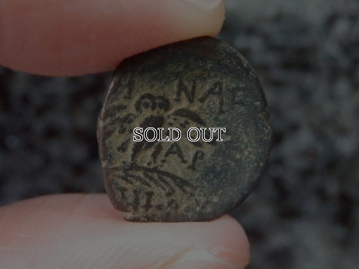 画像5: 古代ギリシャコイン(額装付き)   ミュシア地方　ペルガモン　銅貨  前１２３－前１００年　翼を広げたフクロウ (5)