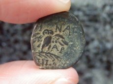 画像5: 古代ギリシャコイン(額装付き)   ミュシア地方　ペルガモン　銅貨  前１２３－前１００年　翼を広げたフクロウ (5)