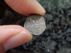 画像6: 古代ギリシャコイン(額装付き)　シチリア島　シラクサ　リトラ銀貨　前４７４－前４５０年　アレトゥーサの肖像　タコ (6)