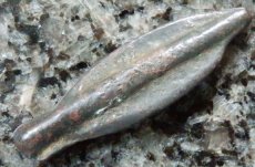 ギリシャコイン　黒海　イストロス　矢じり型のコイン　