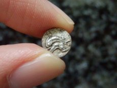 画像9: 古代ギリシャコイン(額装付き)　トラキア地域　タソス島　オボル銀貨　前４１２ー前４０４年　重なるイルカ (9)