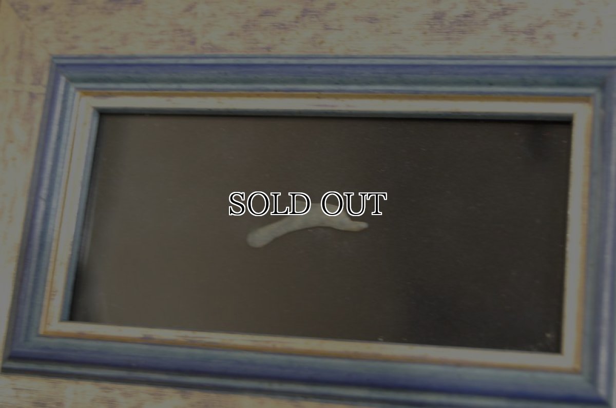 画像7: 古代ギリシャコイン　オルビア　イルカのコイン 前５－前４世紀 (7)