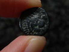 画像9: 古代ギリシャコイン　トローアス　アンタンドロス　銅貨　前４００－前２８４年　アポロン　舌を出すライオン (9)