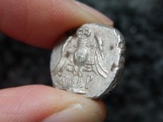 画像10: 古代ギリシャコイン ポントス　アミソス　ドラクマ銀貨　前４００－前３５０年　テュケ(運命の女神)　翼をひろげたフクロウ (10)