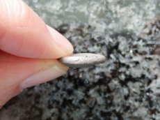 画像9: 古代ギリシャコイン (額装付き)　ボイオティア地方　テ―バイ　半ドラクマ銀貨　前３７９－前３７１年　ボイオティアの盾　カンタロス (9)