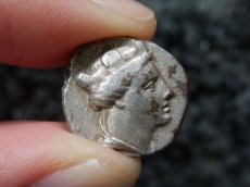 画像5: 古代ギリシャコイン ポントス　アミソス　ドラクマ銀貨　前４００－前３５０年　テュケ(運命の女神)　翼をひろげたフクロウ (5)