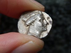 画像8: 古代ギリシャコイン ポントス　アミソス　ドラクマ銀貨　前４００－前３５０年　テュケ(運命の女神)　翼をひろげたフクロウ (8)