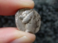 画像7: 古代ギリシャコイン ポントス　アミソス　ドラクマ銀貨　前４００－前３５０年　テュケ(運命の女神)　翼をひろげたフクロウ (7)