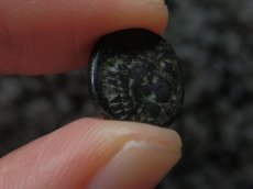 画像11: 古代ギリシャコイン　トローアス　アンタンドロス　銅貨　前４００－前２８４年　アポロン　舌を出すライオン (11)