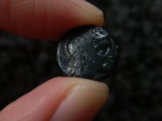 画像5: 古代ギリシャコイン　トローアス　アンタンドロス　銅貨　前４００－前２８４年　アポロン　舌を出すライオン (5)