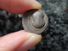 画像10: 古代ギリシャコイン (額装付き)　ボイオティア地方　テ―バイ　半ドラクマ銀貨　前３７９－前３７１年　ボイオティアの盾　カンタロス (10)