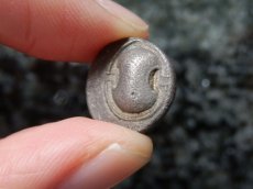 画像11: 古代ギリシャコイン (額装付き)　ボイオティア地方　テ―バイ　半ドラクマ銀貨　前３７９－前３７１年　ボイオティアの盾　カンタロス (11)