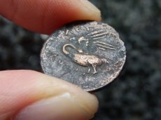 画像16: 古代ギリシャコイン(額装付き)　イオニア地方　レウカイ　銅貨　前３５０－前３００年　アポロンと白鳥 (16)