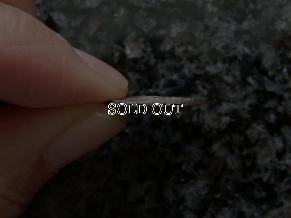 画像9: 古代ギリシャコイン(額装付き)　カリア地方　ミラーサ　ドラクマ銀貨　前１７０－前１３０年　太陽神ヘリオスと鳥　横から見たバラの花 (9)