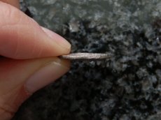 画像9: 古代ギリシャコイン(額装付き)　カリア地方　ミラーサ　ドラクマ銀貨　前１７０－前１３０年　太陽神ヘリオスと鳥　横から見たバラの花 (9)