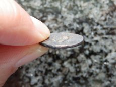 画像8: 古代ギリシャコイン(額装付き)　イオニア地方　レウカイ　銅貨　前３５０－前３００年　アポロンと白鳥 (8)