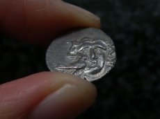 画像13: 古代ギリシャコイン(額装付き)　カリア地方　ミラーサ　ドラクマ銀貨　前１７０－前１３０年　太陽神ヘリオスと鳥　横から見たバラの花 (13)