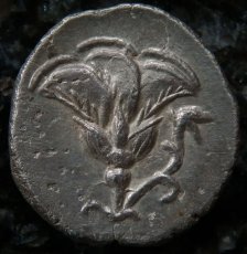 ギリシャコイン　カリア地方　ミラース　ドラクマ銀貨