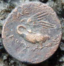 ギリシャコイン　イオニア・ルーカイ　ブロンズ貨