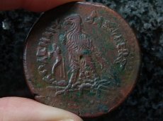 画像9: 古代ギリシャコイン　プトレマイオス朝エジプト　プトレマイオス３世　銅貨　前２４５－前２２５年　ゼウスの肖像　鷲  (9)