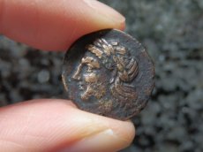 画像9: 古代ギリシャコイン(額装付き)　イオニア地方　レウカイ　銅貨　前３５０－前３００年　アポロンと白鳥 (9)