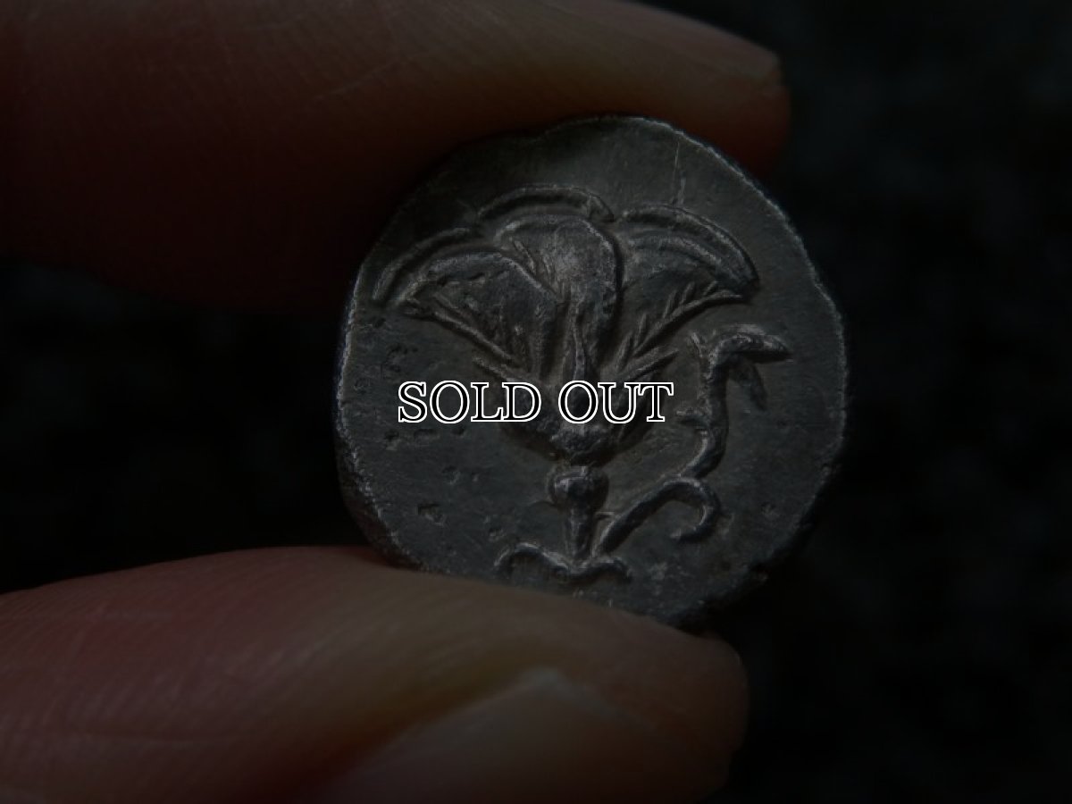 画像14: 古代ギリシャコイン(額装付き)　カリア地方　ミラーサ　ドラクマ銀貨　前１７０－前１３０年　太陽神ヘリオスと鳥　横から見たバラの花 (14)