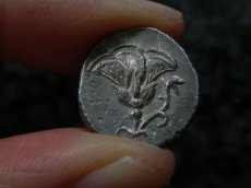 画像14: 古代ギリシャコイン(額装付き)　カリア地方　ミラーサ　ドラクマ銀貨　前１７０－前１３０年　太陽神ヘリオスと鳥　横から見たバラの花 (14)