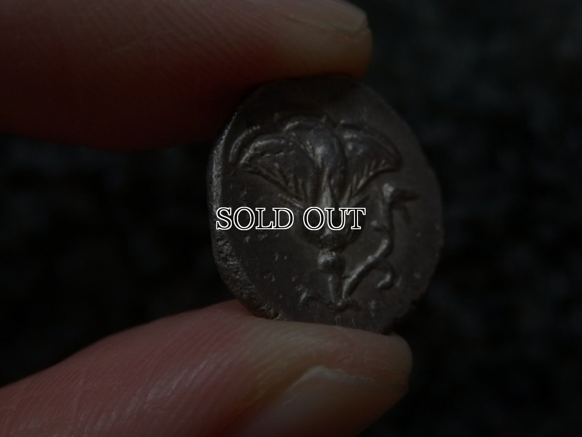 画像16: 古代ギリシャコイン(額装付き)　カリア地方　ミラーサ　ドラクマ銀貨　前１７０－前１３０年　太陽神ヘリオスと鳥　横から見たバラの花 (16)