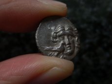 画像12: 古代ギリシャコイン(額装付き)　カリア地方　ミラーサ　ドラクマ銀貨　前１７０－前１３０年　太陽神ヘリオスと鳥　横から見たバラの花 (12)