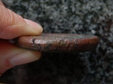 画像4: 古代ギリシャコイン　プトレマイオス朝エジプト　プトレマイオス３世　銅貨　前２４５－前２２５年　ゼウスの肖像　鷲  (4)