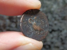画像15: 古代ギリシャコイン(額装付き)　イオニア地方　レウカイ　銅貨　前３５０－前３００年　アポロンと白鳥 (15)
