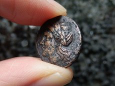 画像10: 古代ギリシャコイン(額装付き)　イオニア地方　レウカイ　銅貨　前３５０－前３００年　アポロンと白鳥 (10)