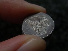 画像17: 古代ギリシャコイン(額装付き)　カリア地方　ミラーサ　ドラクマ銀貨　前１７０－前１３０年　太陽神ヘリオスと鳥　横から見たバラの花 (17)
