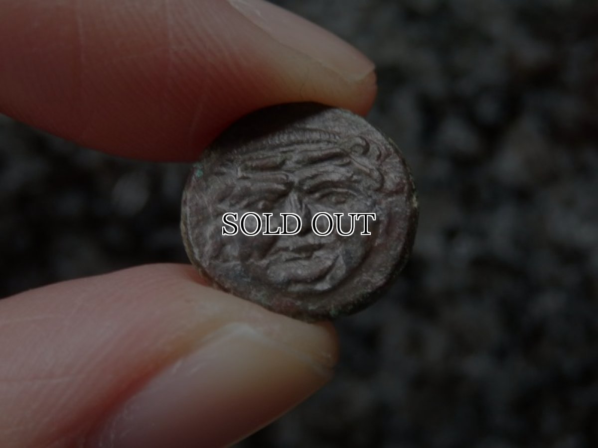 画像9: 古代ギリシャコイン(額装付き)　シチリア島　カマリナ　銅貨　前４１３－前４０５年　ゴルゴン　トカゲを捕まえるフクロウ (9)
