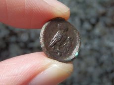画像15: 古代ギリシャコイン(額装付き)　シチリア島　カマリナ　銅貨　前４１３－前４０５年　ゴルゴン　トカゲを捕まえるフクロウ (15)