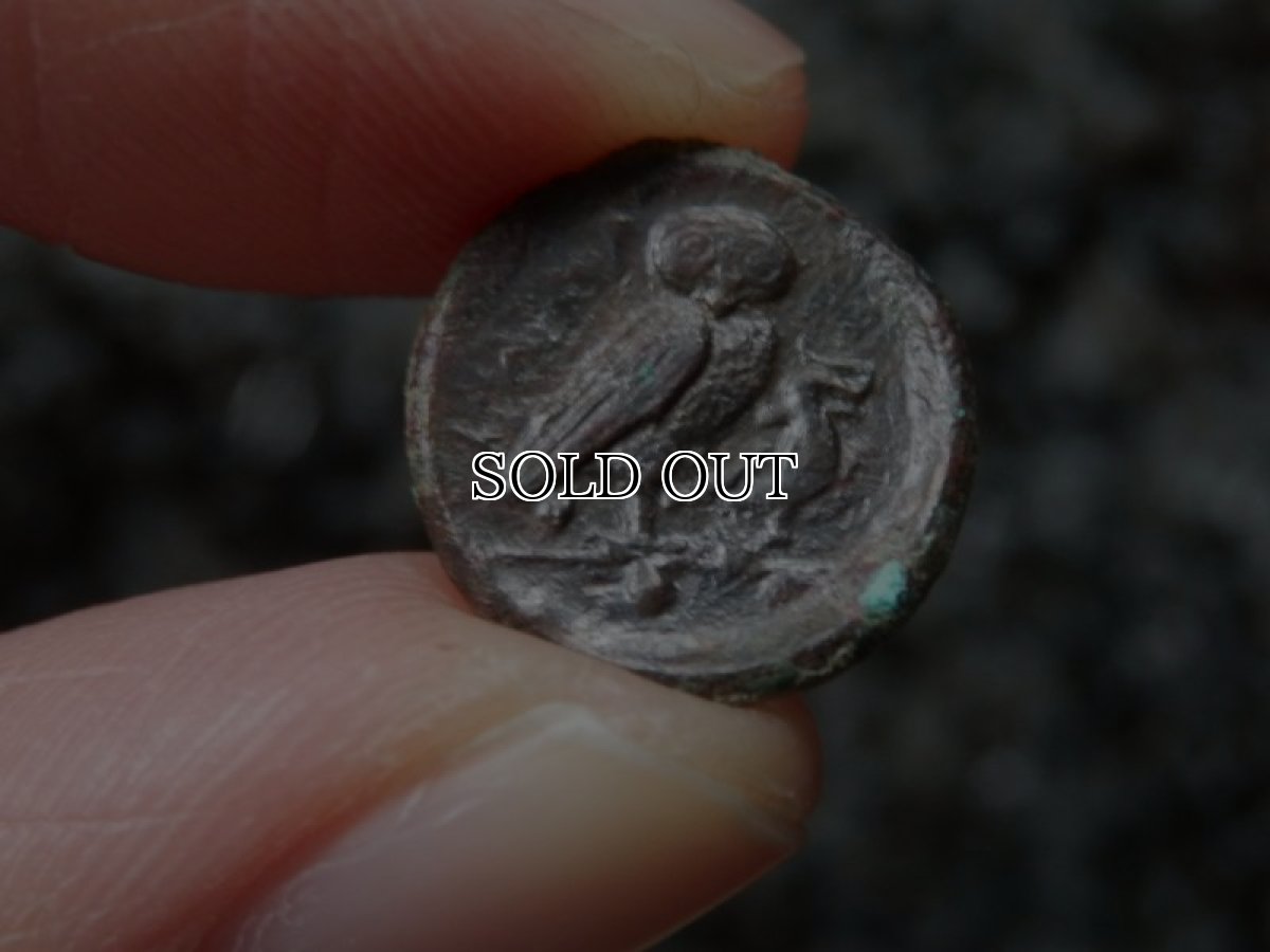 画像13: 古代ギリシャコイン(額装付き)　シチリア島　カマリナ　銅貨　前４１３－前４０５年　ゴルゴン　トカゲを捕まえるフクロウ (13)