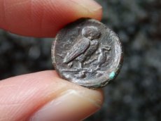 画像13: 古代ギリシャコイン(額装付き)　シチリア島　カマリナ　銅貨　前４１３－前４０５年　ゴルゴン　トカゲを捕まえるフクロウ (13)